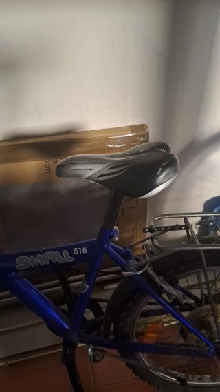 Bicicleta Infantil 20 Pulgadas Azul