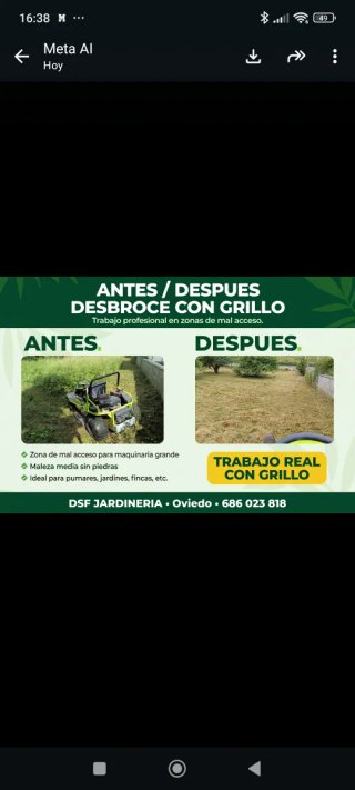 Servicio de desbroce con grillo