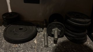 2 dischi da palestra da 5 kg