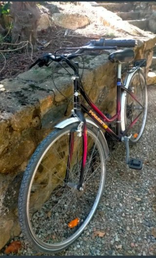 Bicicleta de paseo Halley
