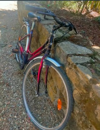 Bicicleta de paseo Halley