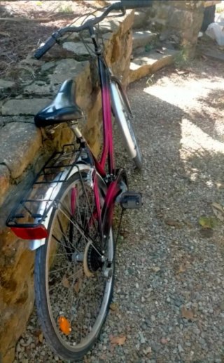 Bicicleta de paseo Halley