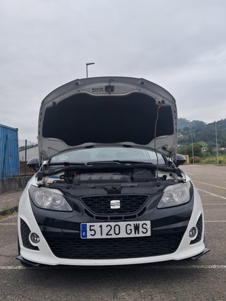 SEAT Ibiza 2010
