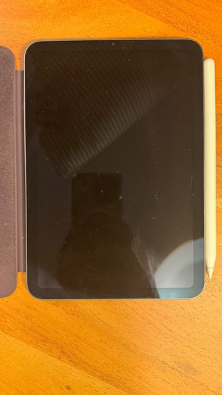 iPad Mini 6 256GB y Apple Pencil 2da Generación