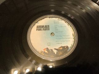 Vinile LP Pink Floyd - Animals