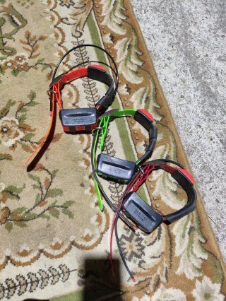3 Collares de Seguimiento Garmin T5