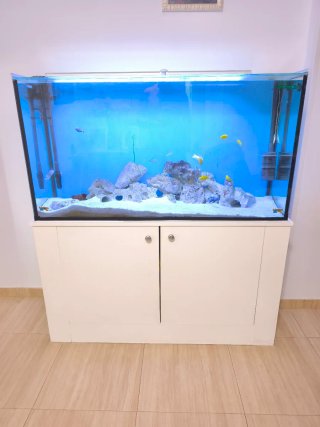 Acuario 288L con mueble blanco completo