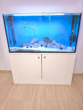 Acuario 288L con mueble blanco completo