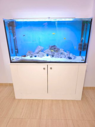 Acuario 288L con mueble blanco completo
