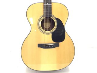 G17874-19 GUITARRA ACUSTICA BRISTOL BM-16