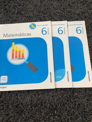 Matemáticas, 6 Primaria Saber Hacer Contigo