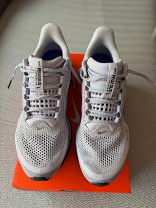 Zapatillas Nike Pegasus Premium