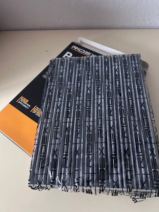 Filtro Antipolen RIDEX Carbono Nissan Qashqai