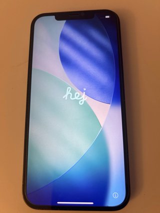 iPhone 12 Pro Max