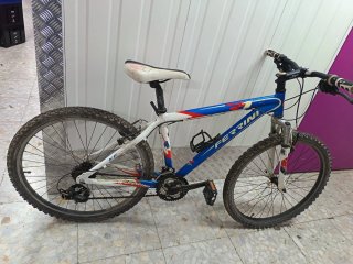 Bicicleta Ferrini para niños