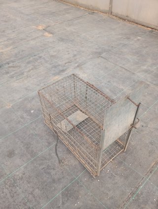 Trampa para conejos 30 Euros
