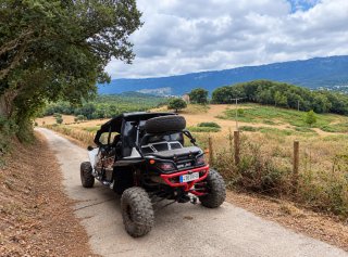 Arctic Cat Wildcat 1000 4 plazas 4x4