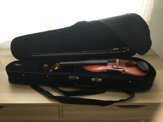 Viola Sielam Divertimento 13