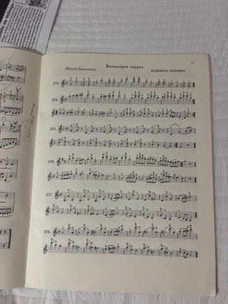 Le Violon - Mathieu Crickboom (Volumen IV)