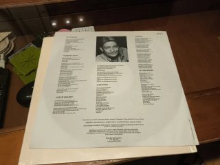 Vinilo LP The Best of Chris Rea