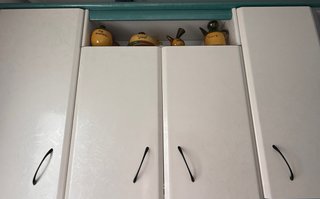 Cocina mas horno y campana extractora.