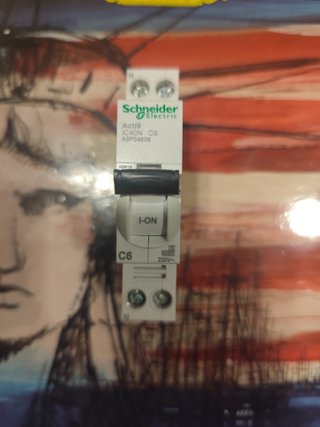 Dpn 2p6A Magnetotérmico Schneider Automático