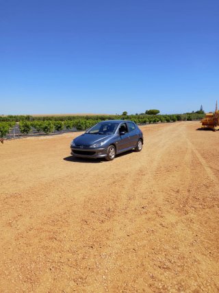 Peugeot 206 2006