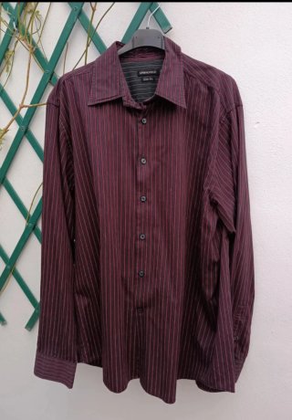 Camisa Springfield de Algodón