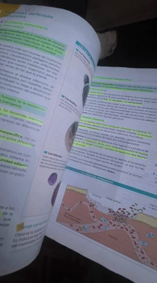 Cultura científica, ESO 4