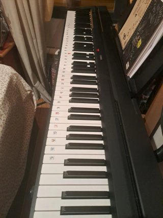 Piano Eléctrico Yamaha P45