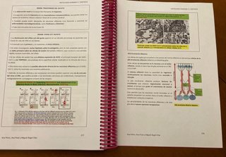 Apuntes Histología Medicina UMA