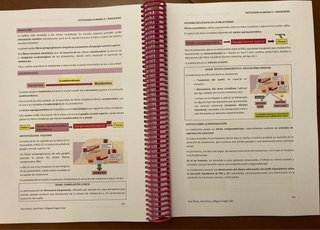 Apuntes Histología Medicina UMA