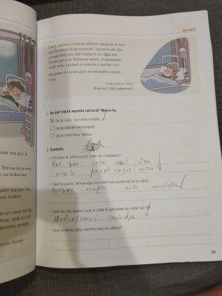 FITXES COMPRESIO LECTORA 4 PRIMARIA