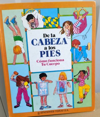 Libro Infantil De la Cabeza a los Pies