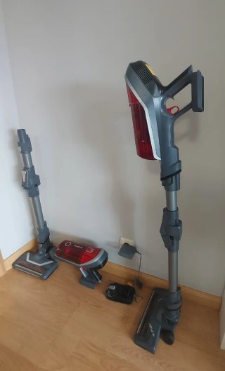 Aspirador Rowenta X-FORCE FLEX 8.60 ANIMAL CARE