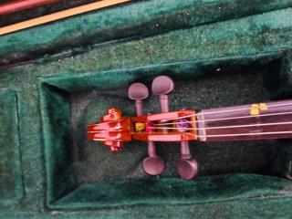 Viola 13" con estuche con dos arcos