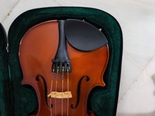 Viola 13" con estuche con dos arcos