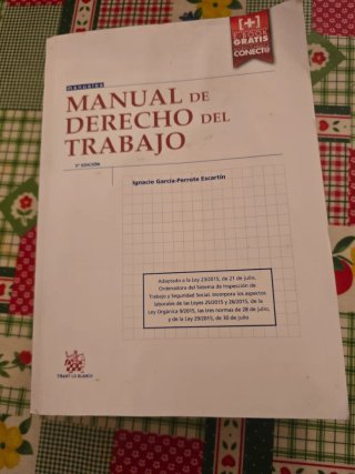 Manual de derecho del trabajo