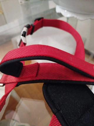 Pettorina Kongo Safety per cani grandi