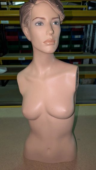Maniquí Torso Mujer carne sin brazos