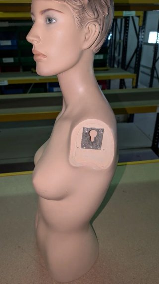 Maniquí Torso Mujer carne sin brazos