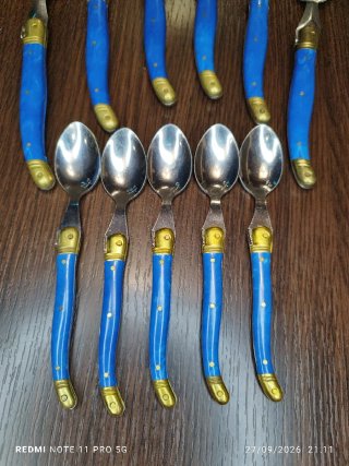 22 Cubiertos Franceses Vintage Laguiole