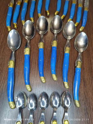 22 Cubiertos Franceses Vintage Laguiole