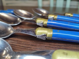 22 Cubiertos Franceses Vintage Laguiole