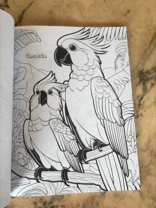 Viaje de colores: animales oceania (Spanish Edi...