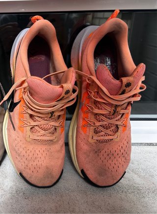 Zapatillas Nike Pegasus Trail 5