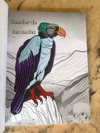 Viaje de colores: Animales América (Spanish Edi...