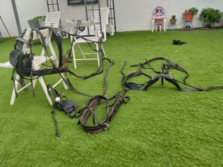Arreos de tronco para bestias hasta 1'40m