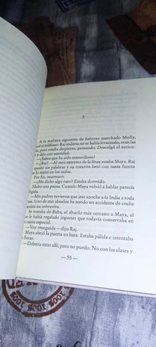 Almas gemelas