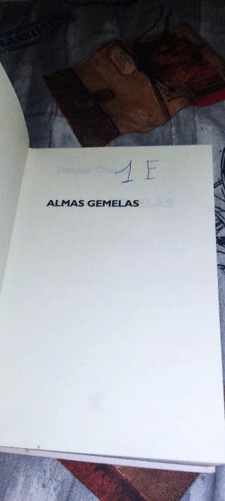 Almas gemelas